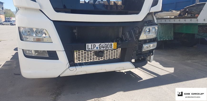 ЗАХИСНА СІТКА РАДІАТОРА (Нижня) для MAN TGX 18.440 (2012-2017) 0131 фото