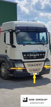 Накладки на решітку радіатора для Man TGS 15628 фото